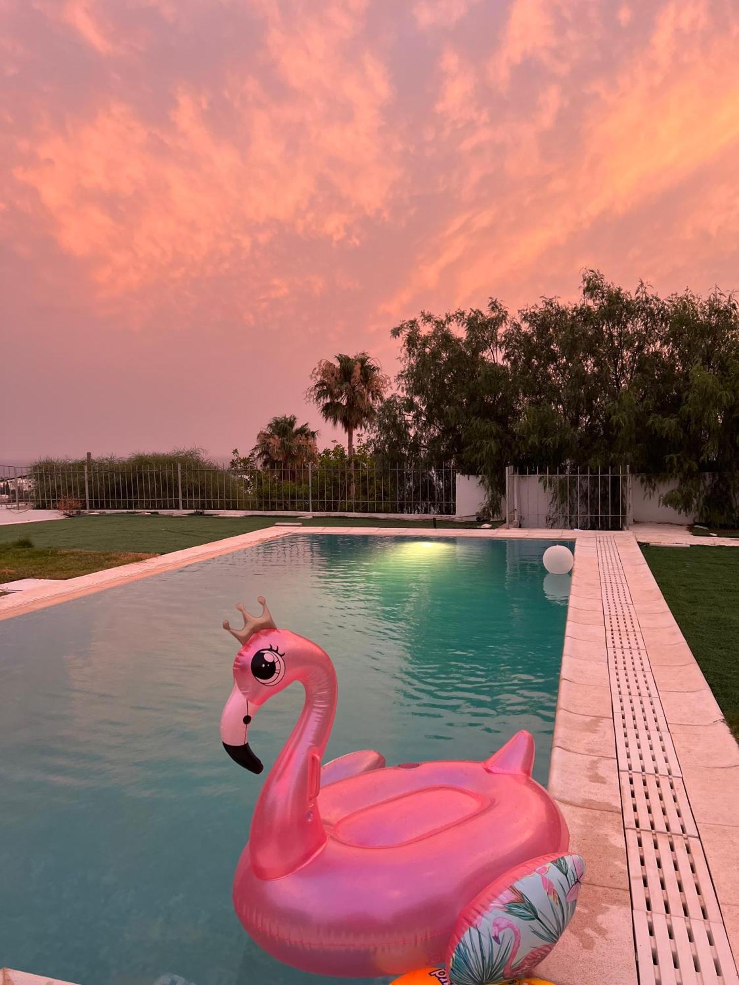 Chez Hayet Hotel Хамамет Екстериор снимка